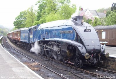 9 (800 x 543).jpg